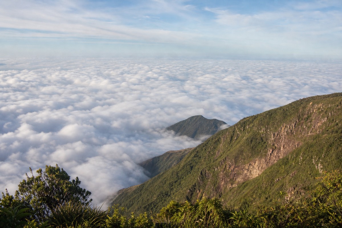 Sea of white cloud below the summit ridge of Santa Ana volcano on a green-season morning, lush slopes breaking through