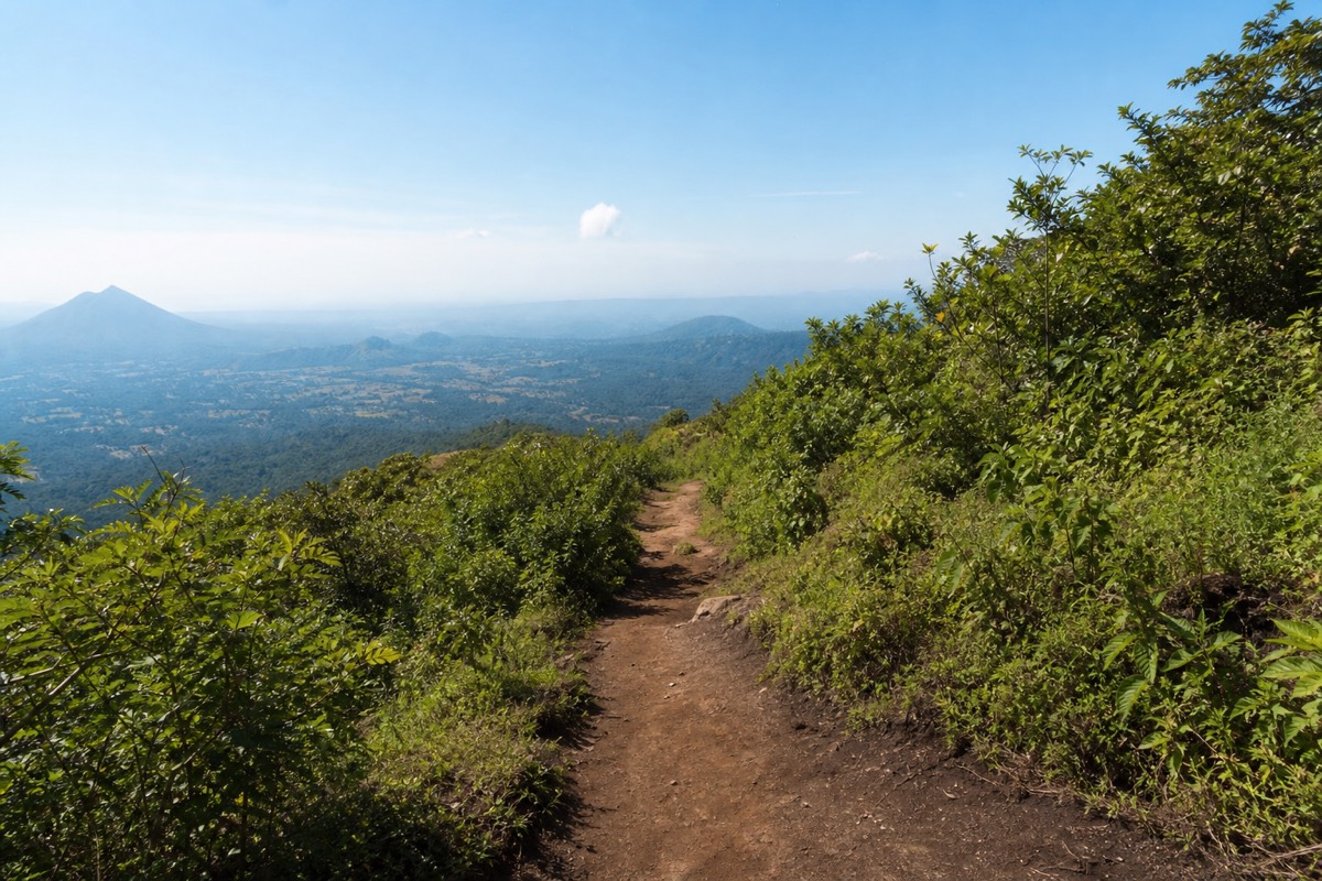 Gentle vegetated lower trail on Santa Ana volcano with green shrubs either side and a clear morning sky