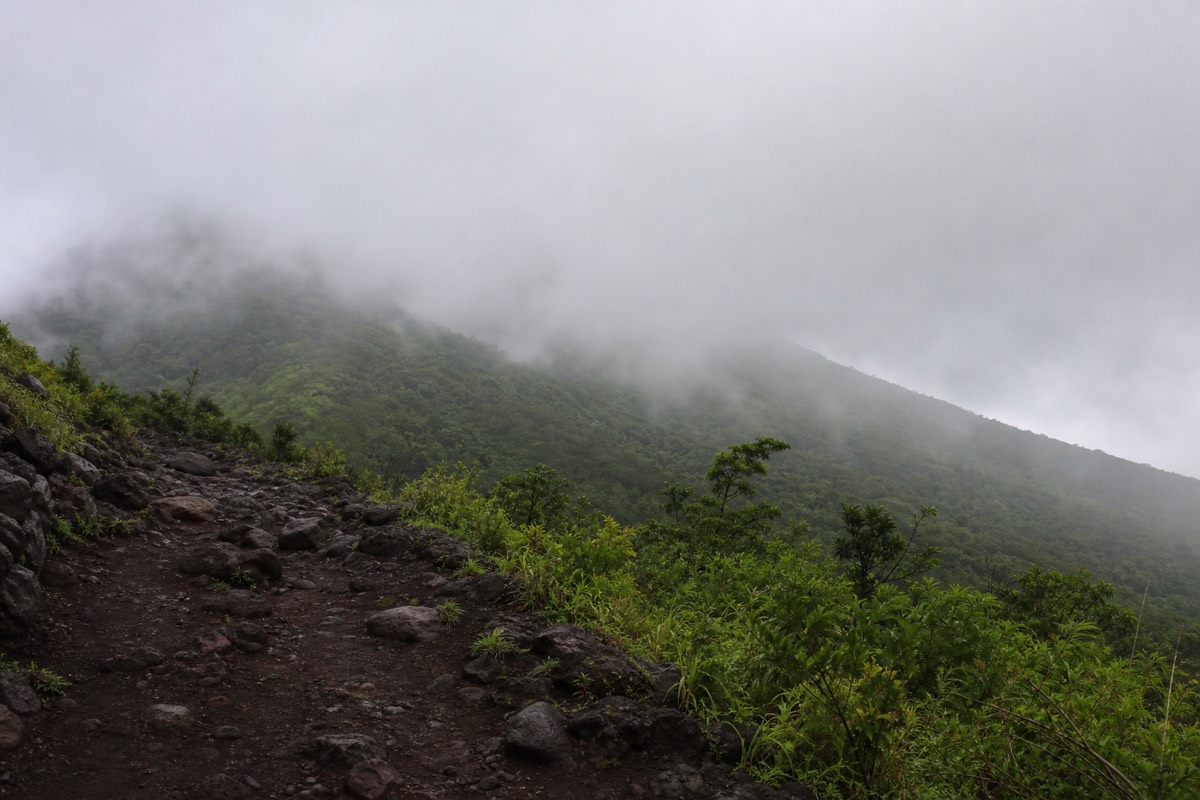 Afternoon cloud rolling across the green upper slopes of Santa Ana volcano during the rainy season