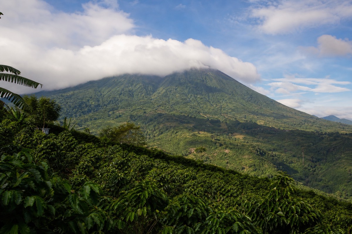 Afternoon cloud spilling over the ridge of a high green volcano in El Salvador with sunlit coffee slopes below