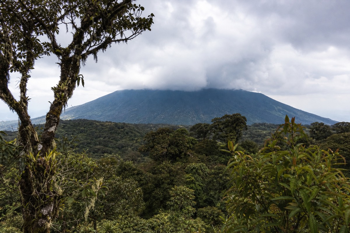 Cloud building over the summit of Santa Ana Volcano seen from the forested slopes of Cerro Verde