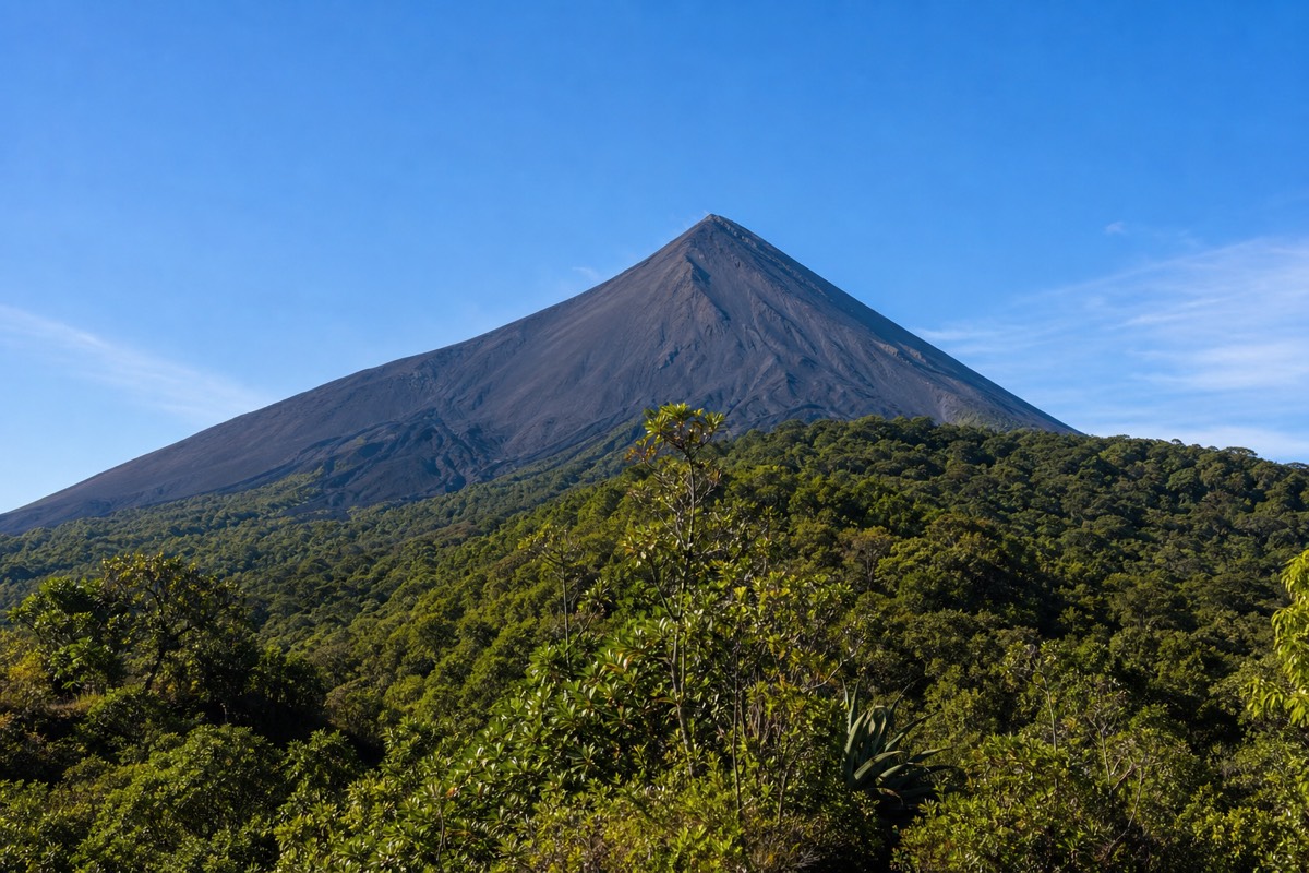 Izalco's bare black volcanic cone in clear morning light seen from the lower Santa Ana trail, green forest in the foreground
