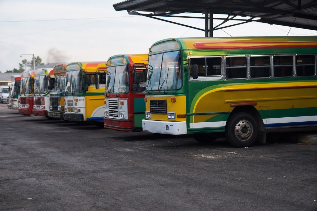 Brightly painted unbranded local buses lined up at a busy Central American terminal in early morning light