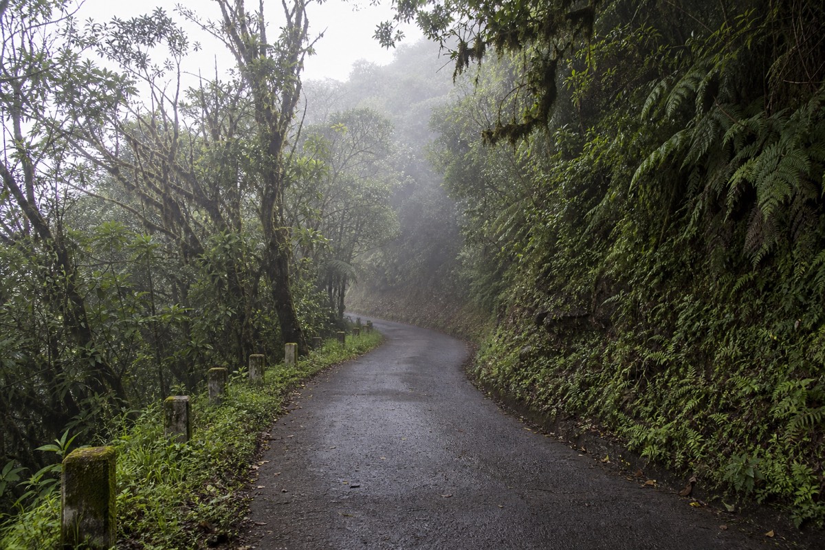 Narrow mountain road climbing through misty cloud forest toward Cerro Verde National Park in El Salvador